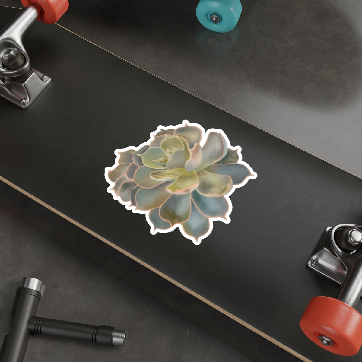 Succulent of the Month, October, Die-Cut Sticker, Echeveria Succulent, Gray Blues and Greens