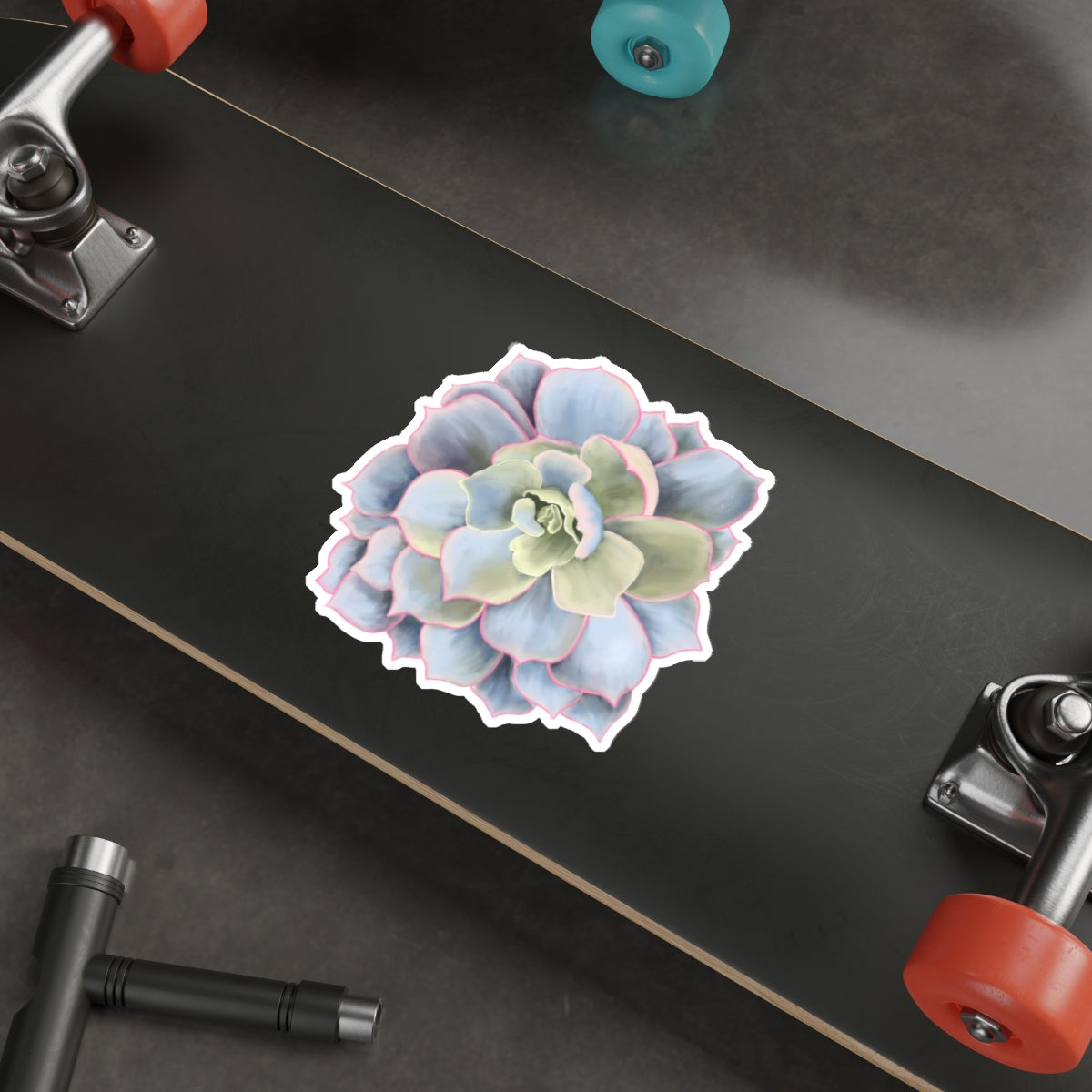 Succulent of the Month, January, Die-Cut Sticker, Echeveria Succulent, Gray and Green