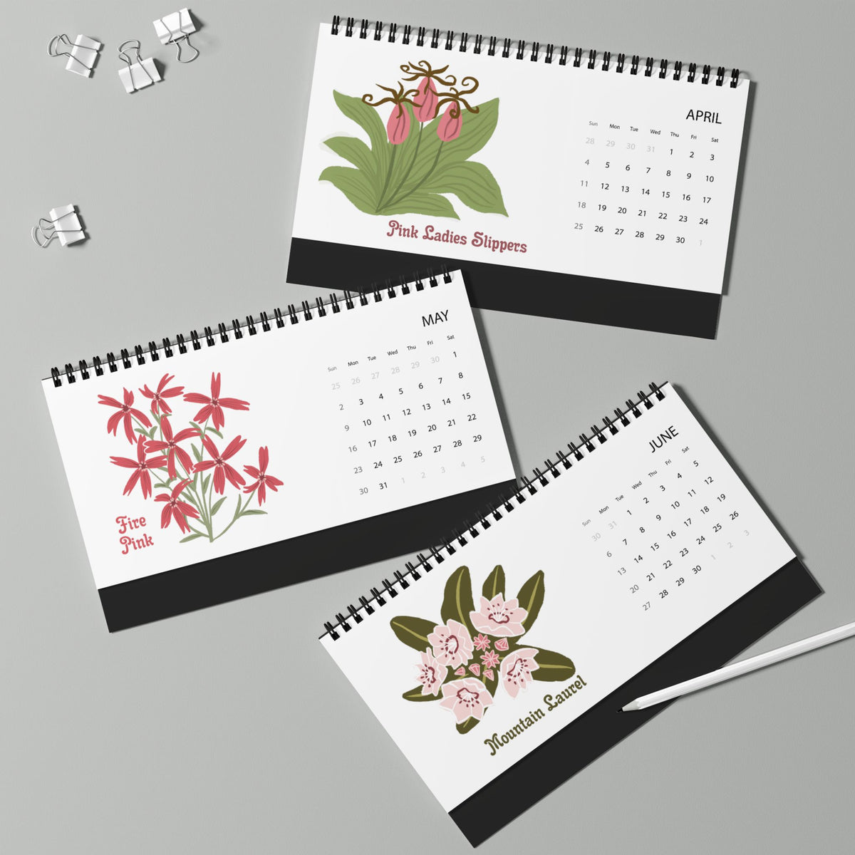 2027 Appalachian Wildflowers Desktop Calendar