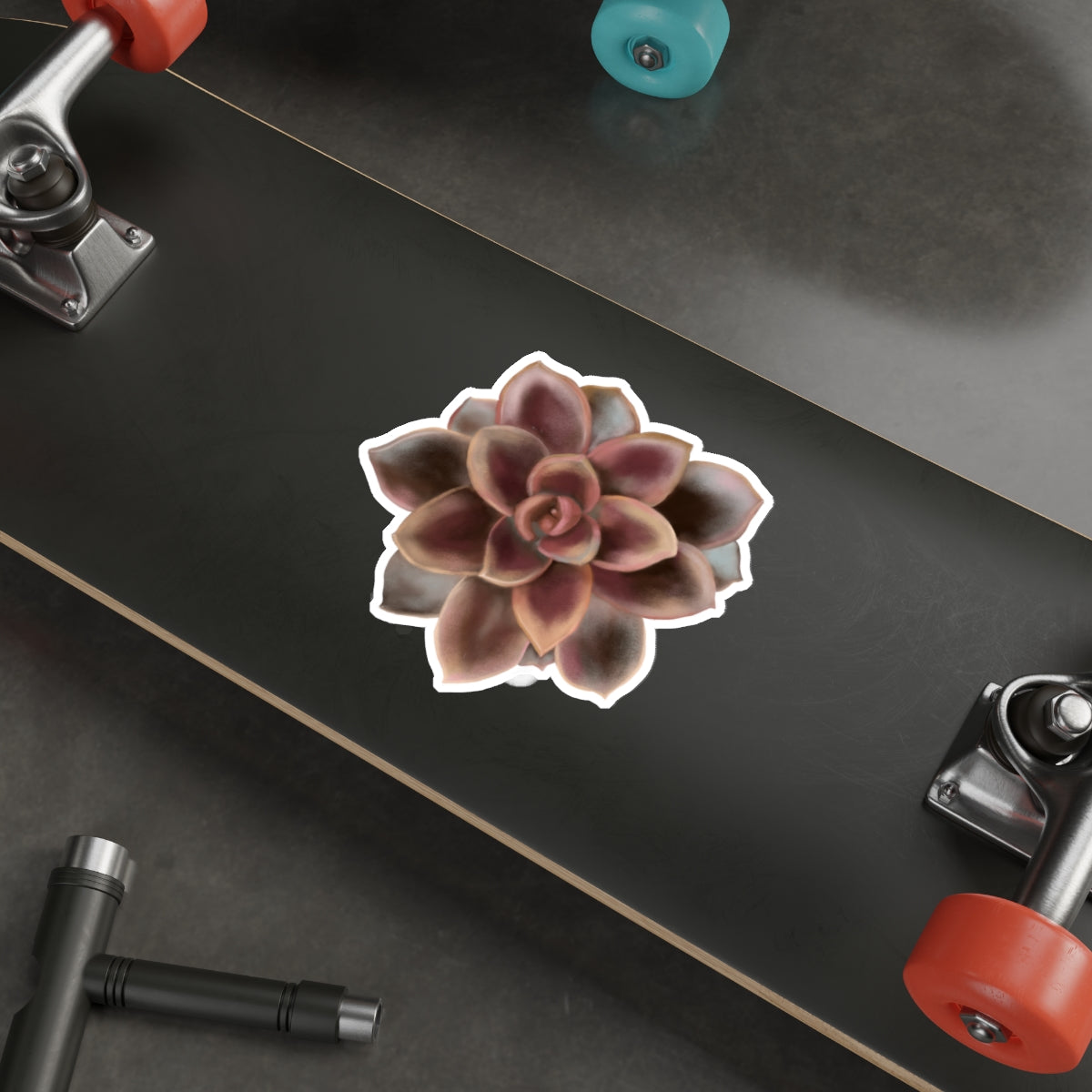 Succulent of the Month, September, Die-Cut Sticker, Echeveria Succulent, Brown and Gray