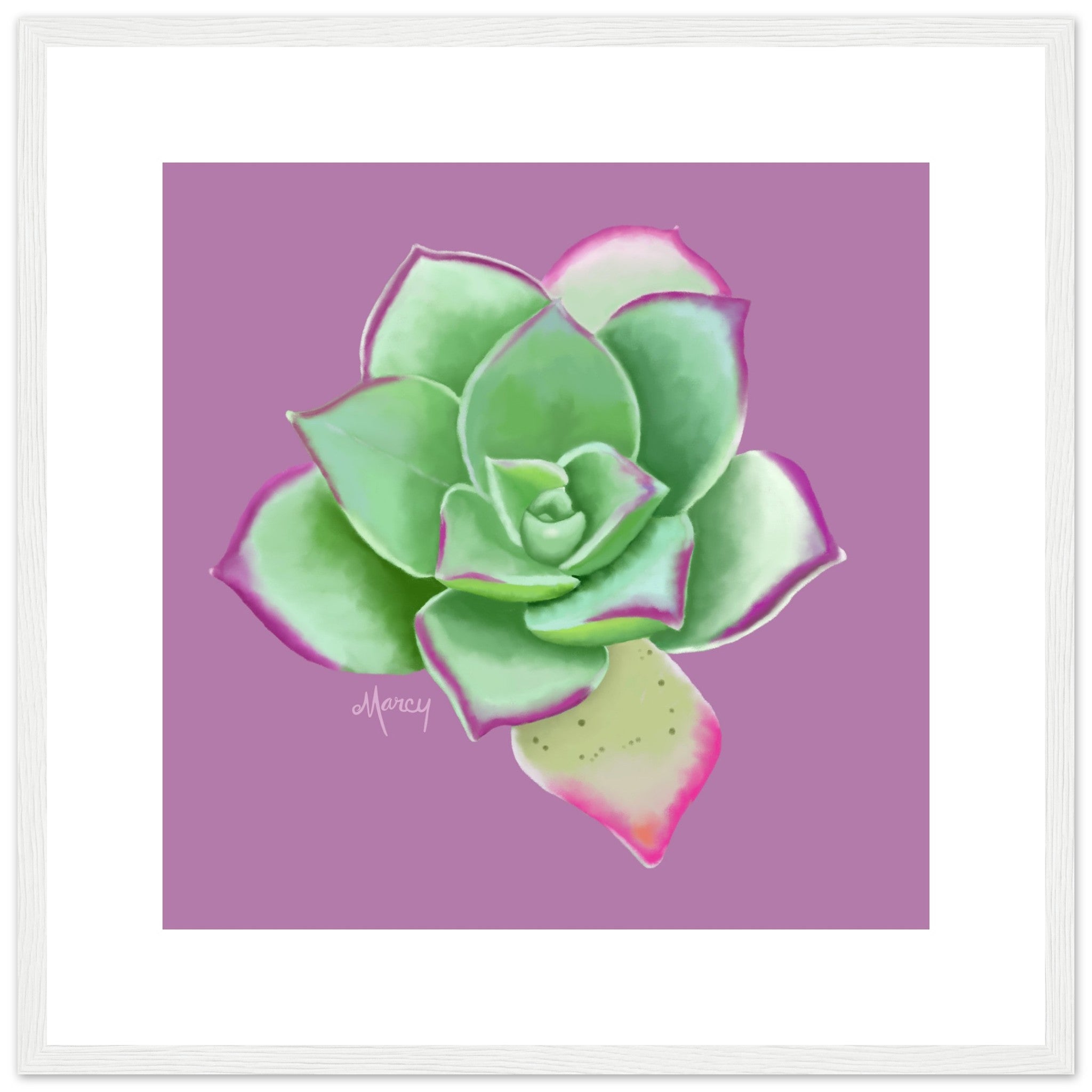 propaganda succulent Succulent of the Month | April | Echeveria Succulent