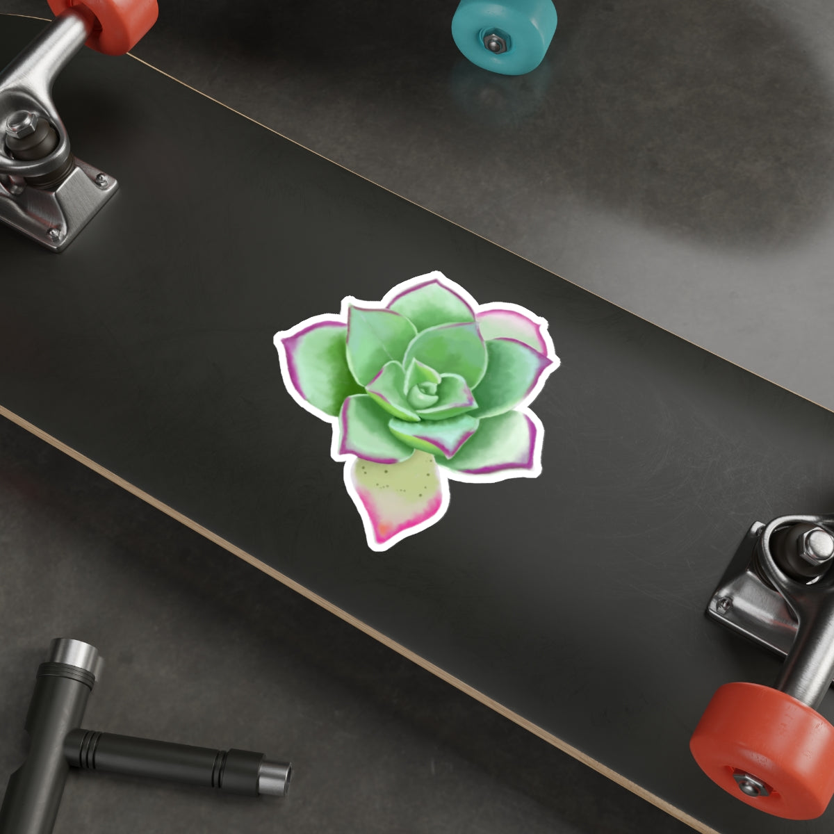 Succulent of the Month, April, Die-Cut Sticker, Echeveria Succulent, Gray and Green