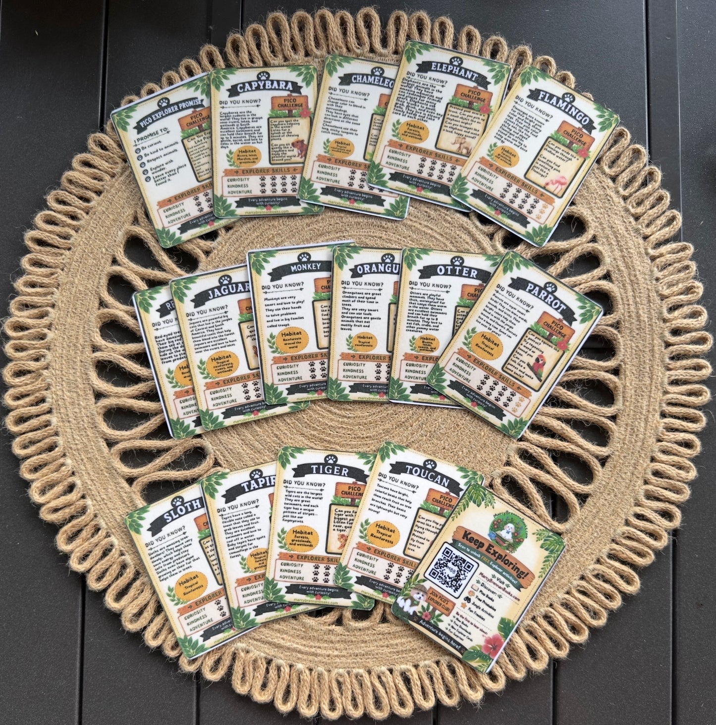 Pico’s Jungle Adventure Explorer Card Collection - FREE Shipping