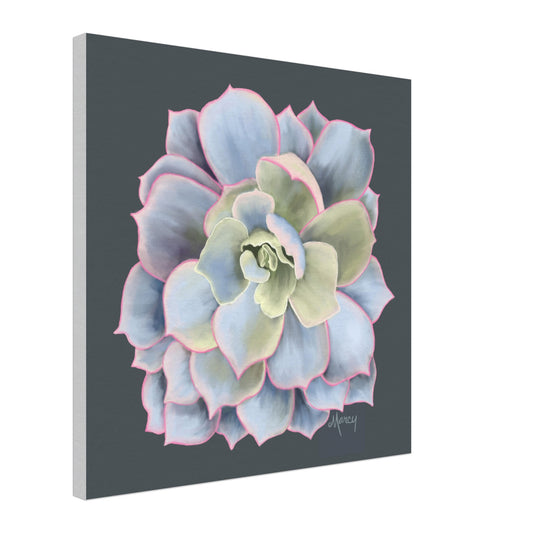Succulent of the Month | January | on Stretched Canvas | Echeveria Succulent