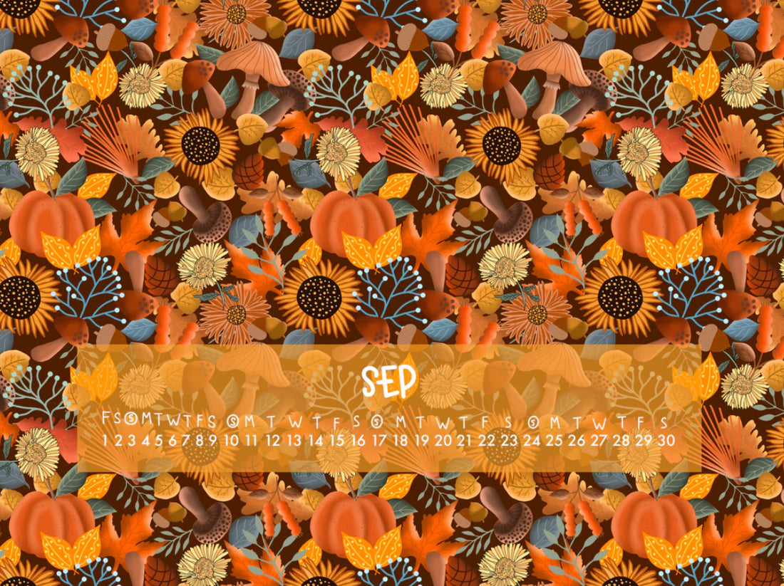 🍂 New Sep 2023 iPhone and  iPad Wallpapers 🍂