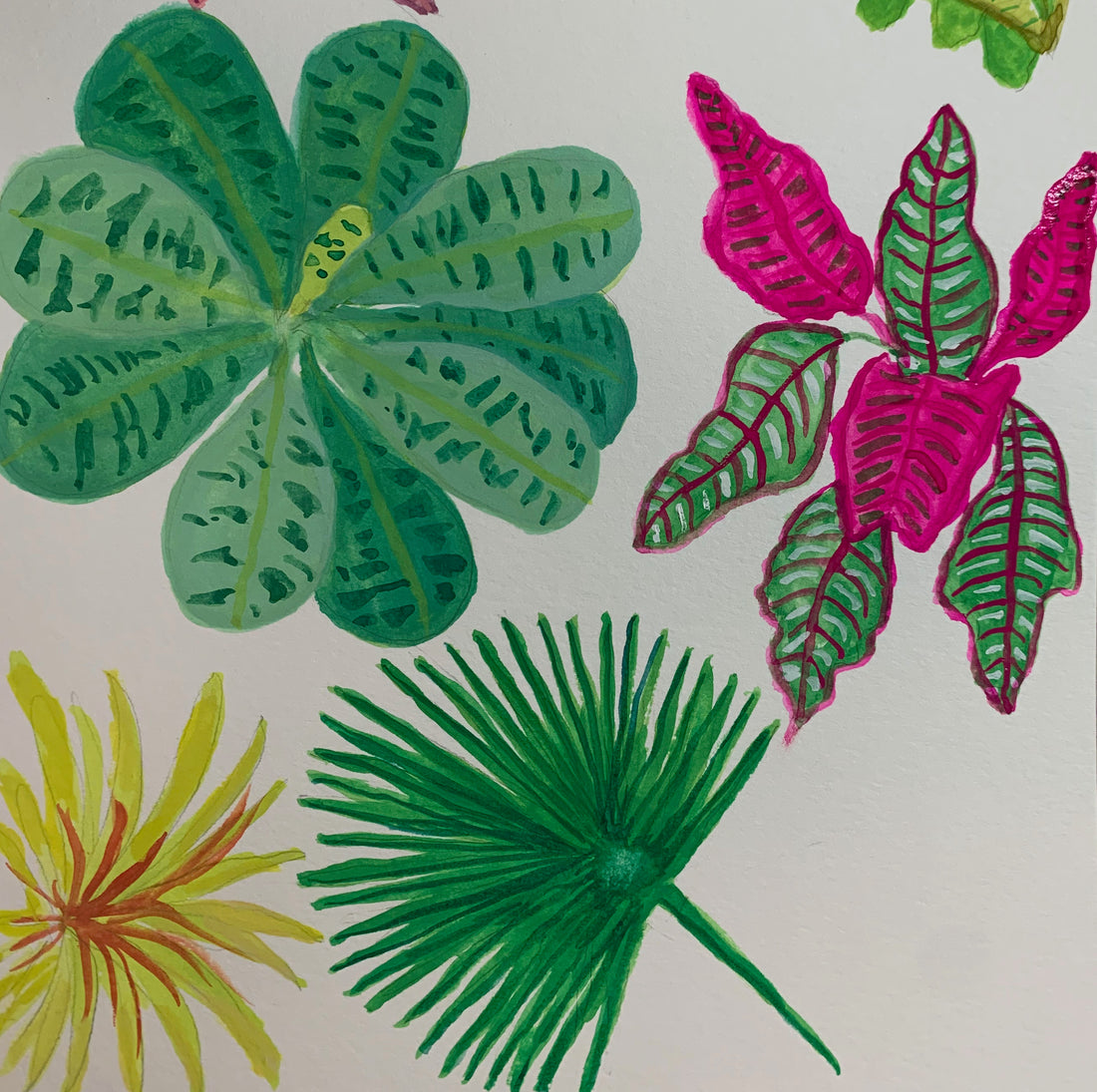 Tropical Plant Paintings