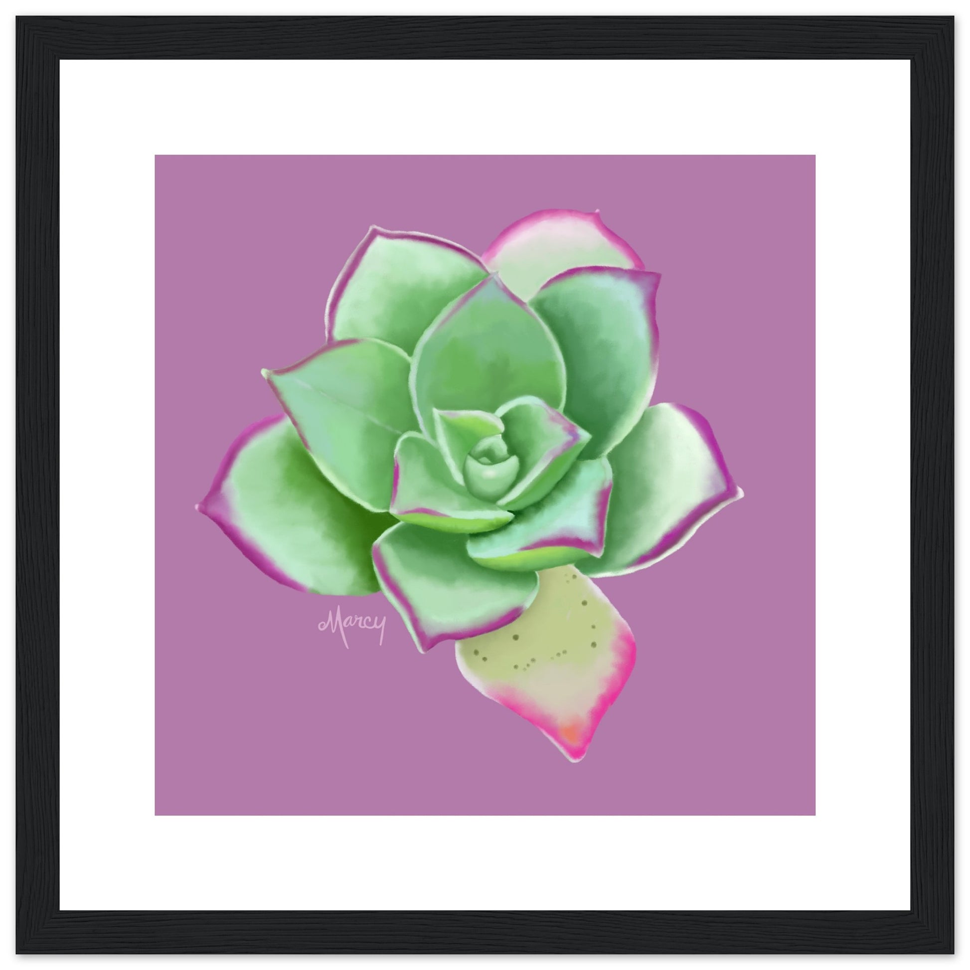 succulent poster Succulent of the Month | April | Echeveria Succulent