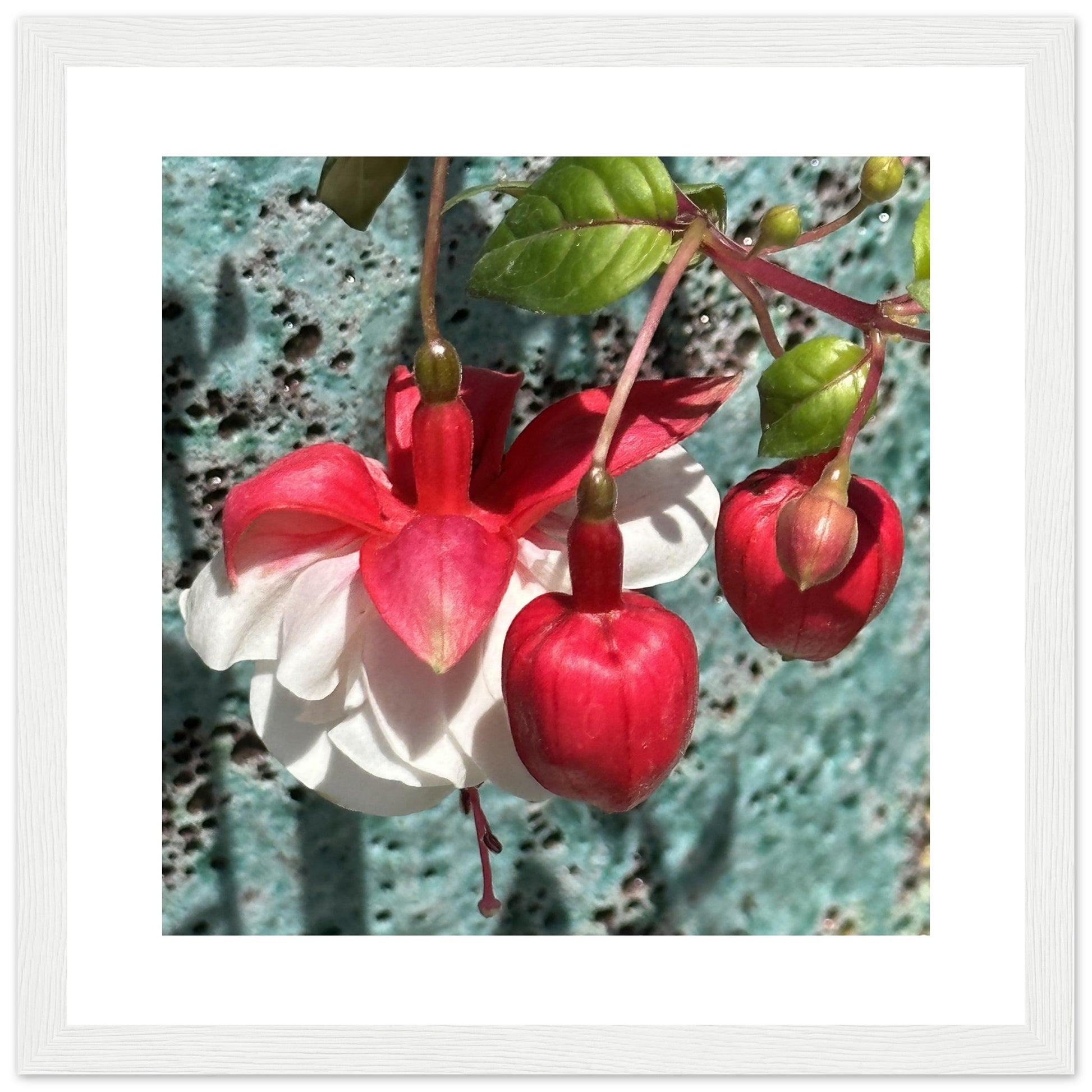 0778cb24-1d9d-4683-90c1-aa65a737b684