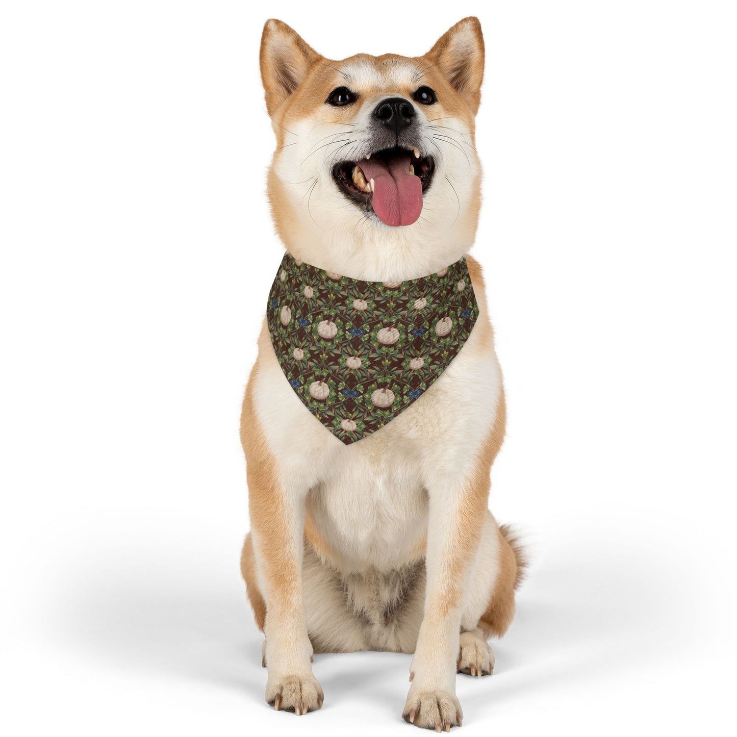 White Pumpkins Pet Bandana Collar