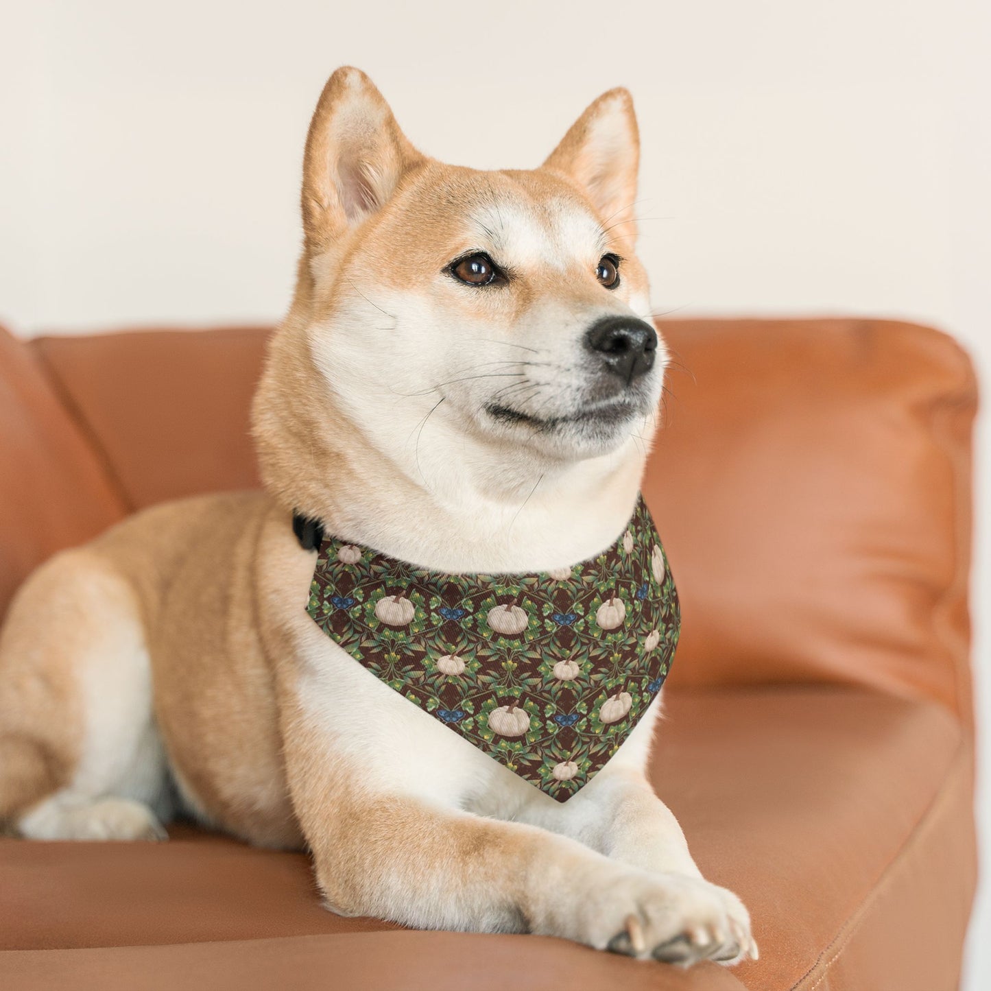 White Pumpkins Pet Bandana Collar