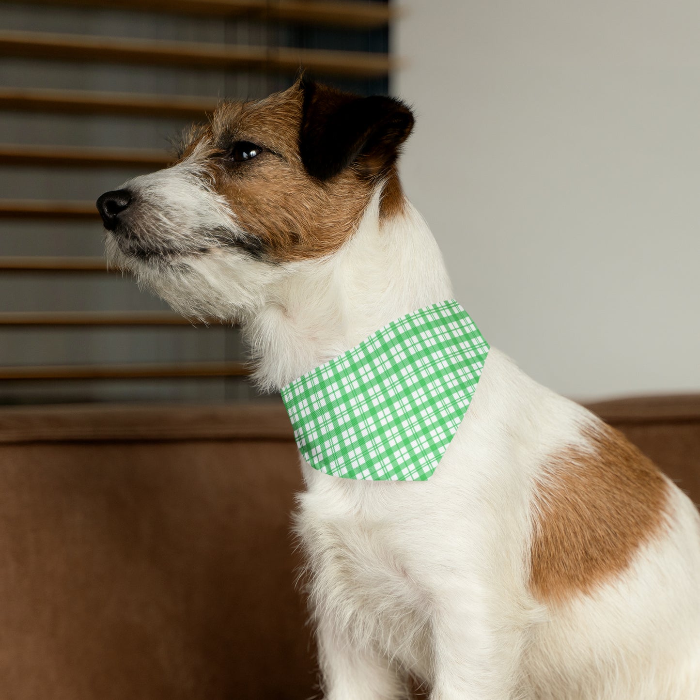 Green and White Plaid Pet Bandana Collar