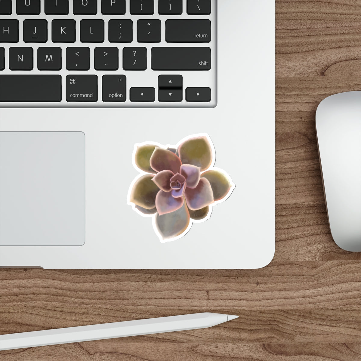 Succulent of the Month, November, Die-Cut Sticker, Echeveria Succulent, Soft Pink, Green, and Gray