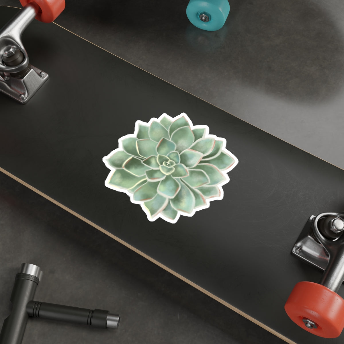 Succulent of the Month, March, Die-Cut Sticker, Echeveria Succulent, Sage Green