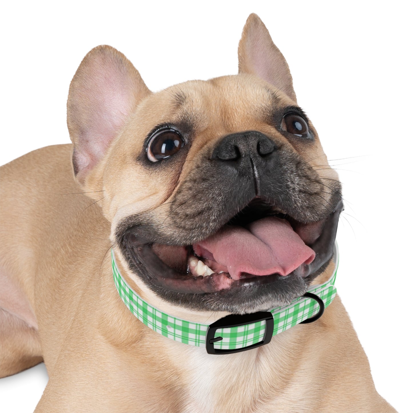 Green and White Plaid Dog Collar