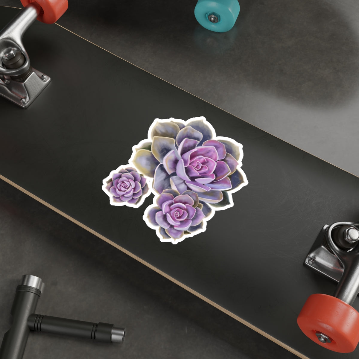 Succulent of the Month, June, Die-Cut Sticker, Echeveria Succulent, Pink and Purple