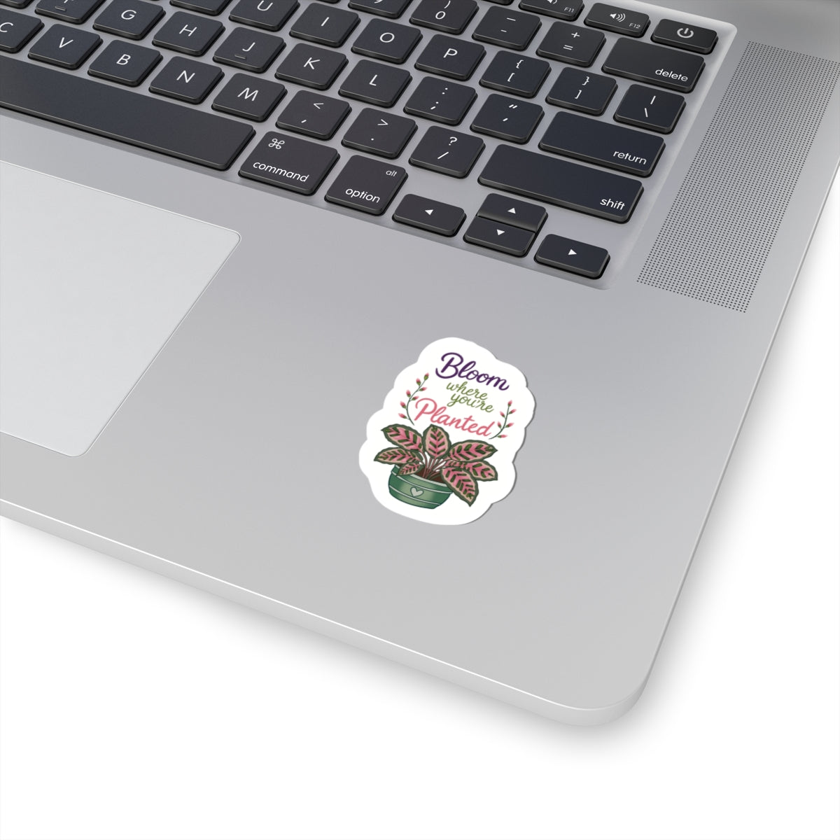 Bloom Where You're Planted Plant Sticker — Floral Kiss-Cut Decal for Laptops & Water Bottles