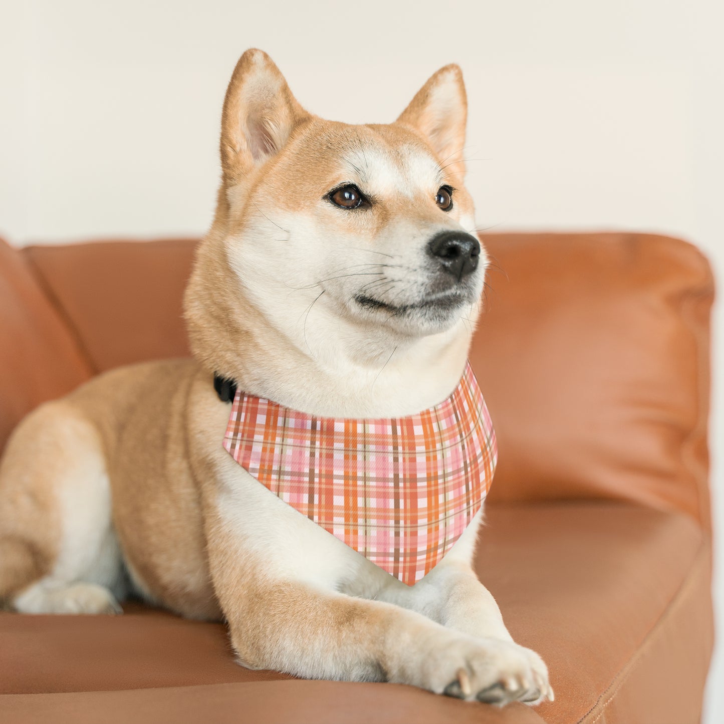 Soft Autumn Plaid Pet Bandana Collar