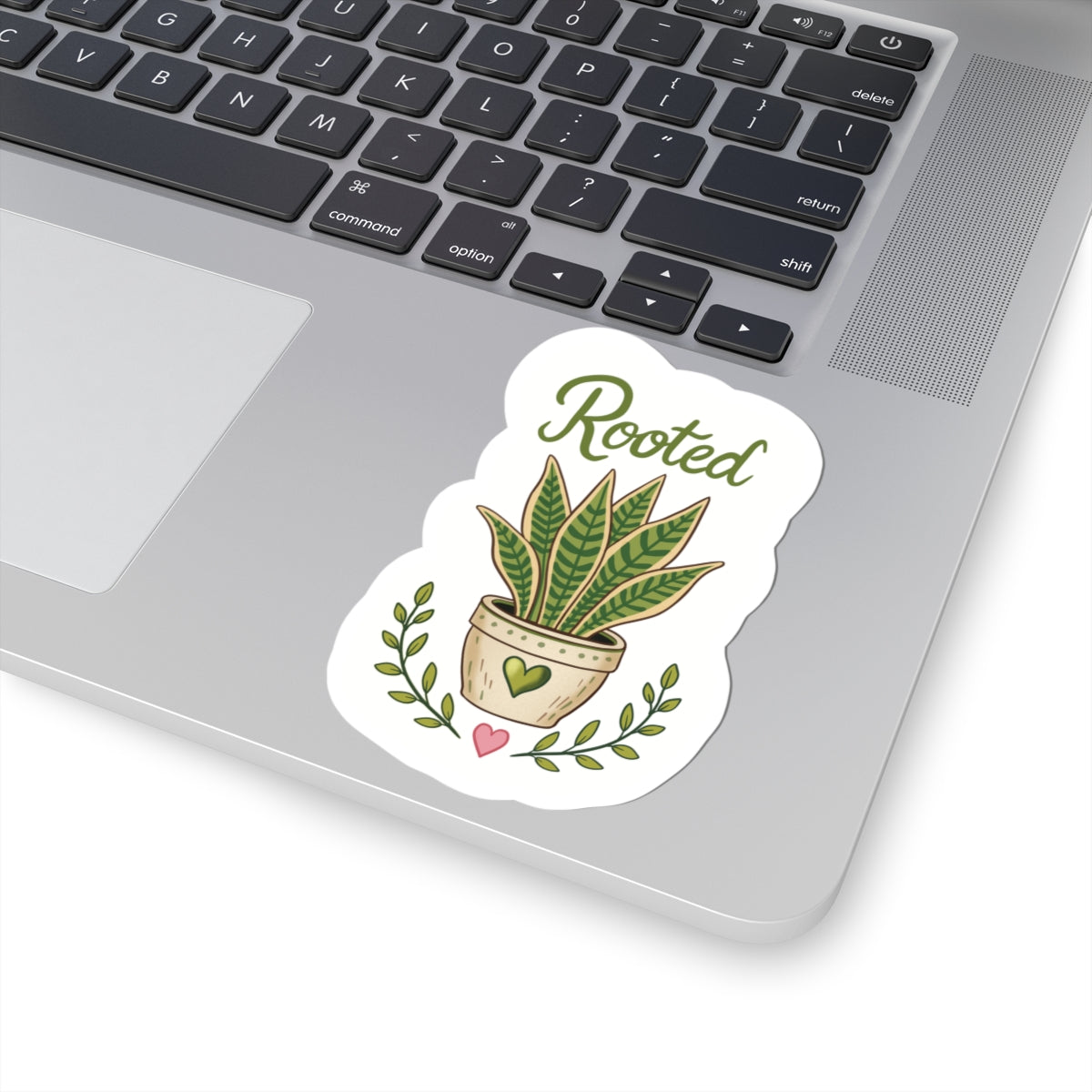 Rooted Plant Sticker — Kiss-Cut Potted Sansevieria Decal