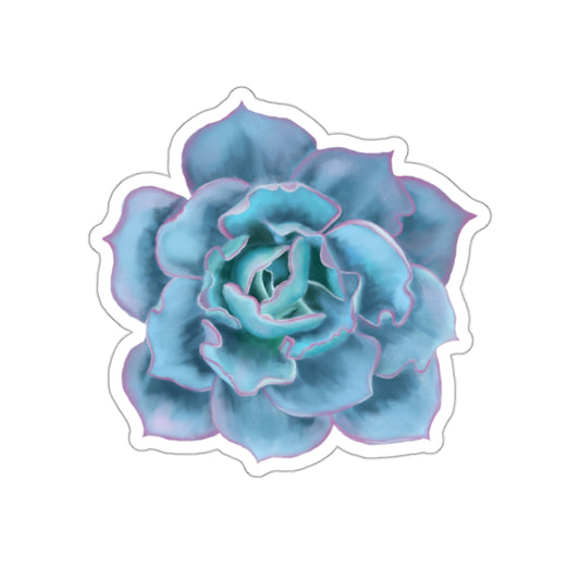 Succulent of the Month, December, Die-Cut Sticker, Echeveria Succulent, Turquoise with Pink Edges