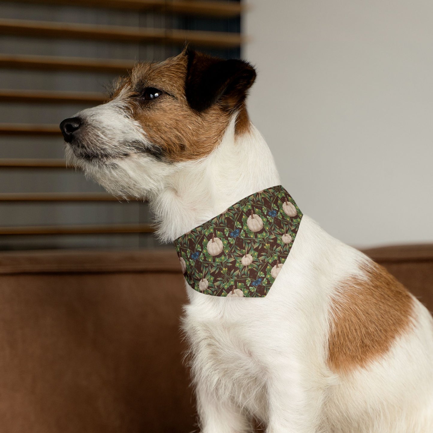 White Pumpkins Pet Bandana Collar