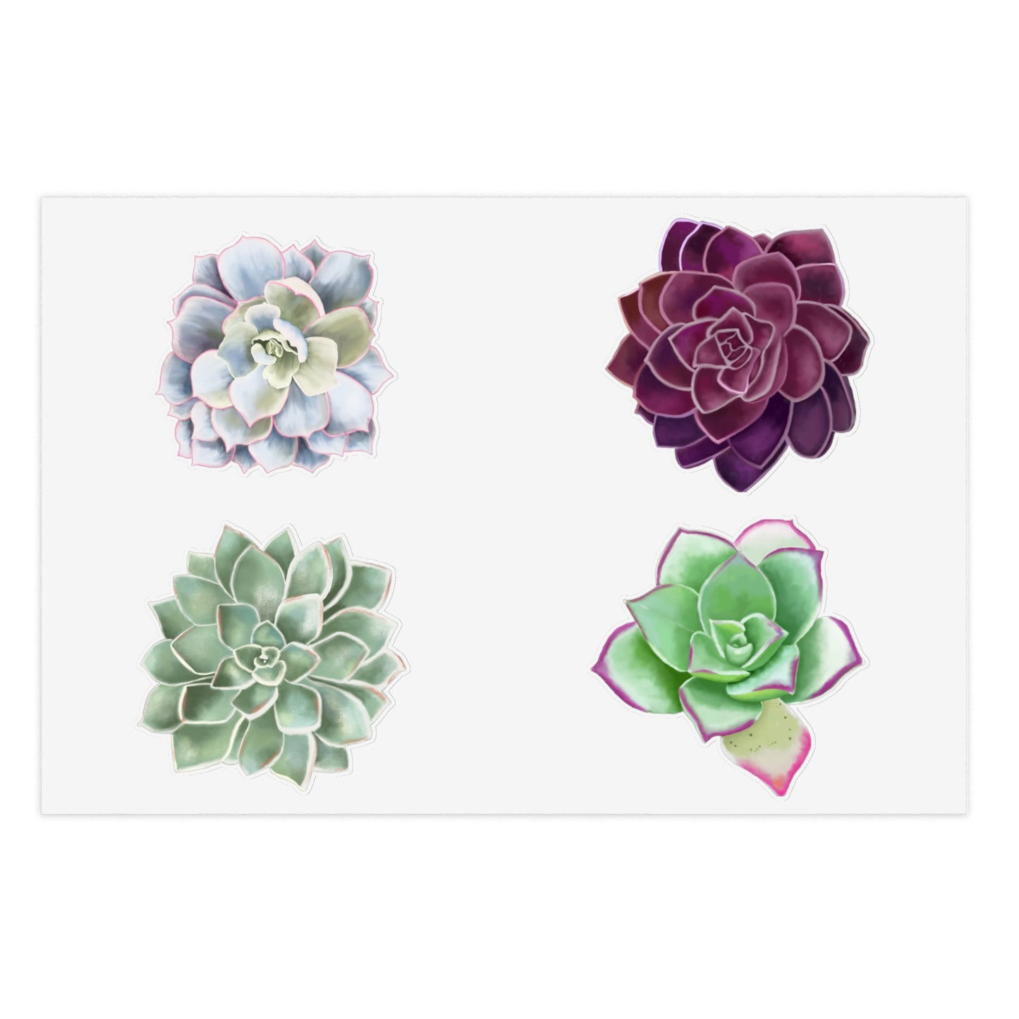 Echeveria Succulents of the Month, Jan-Apr, Sticker Sheets