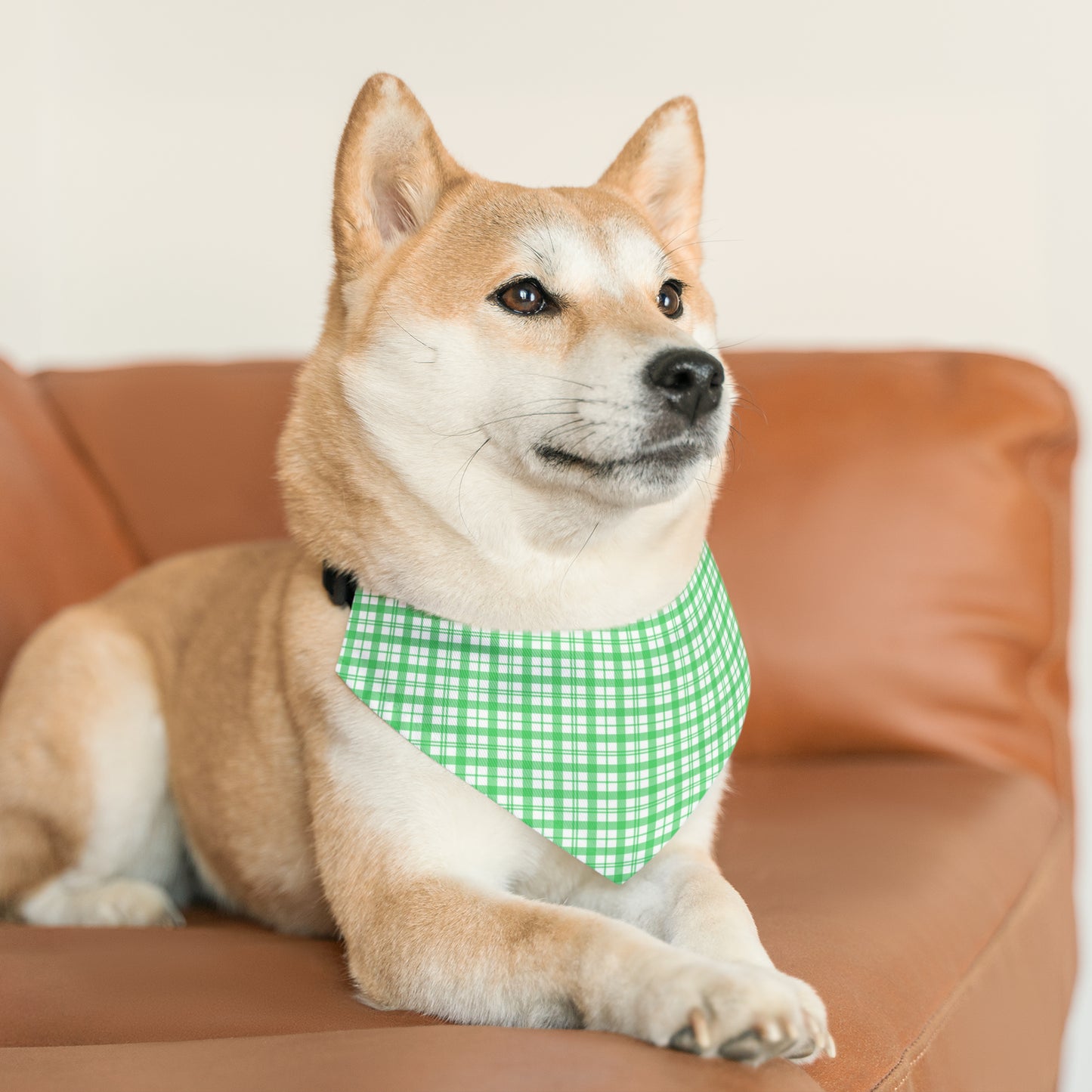 Green and White Plaid Pet Bandana Collar
