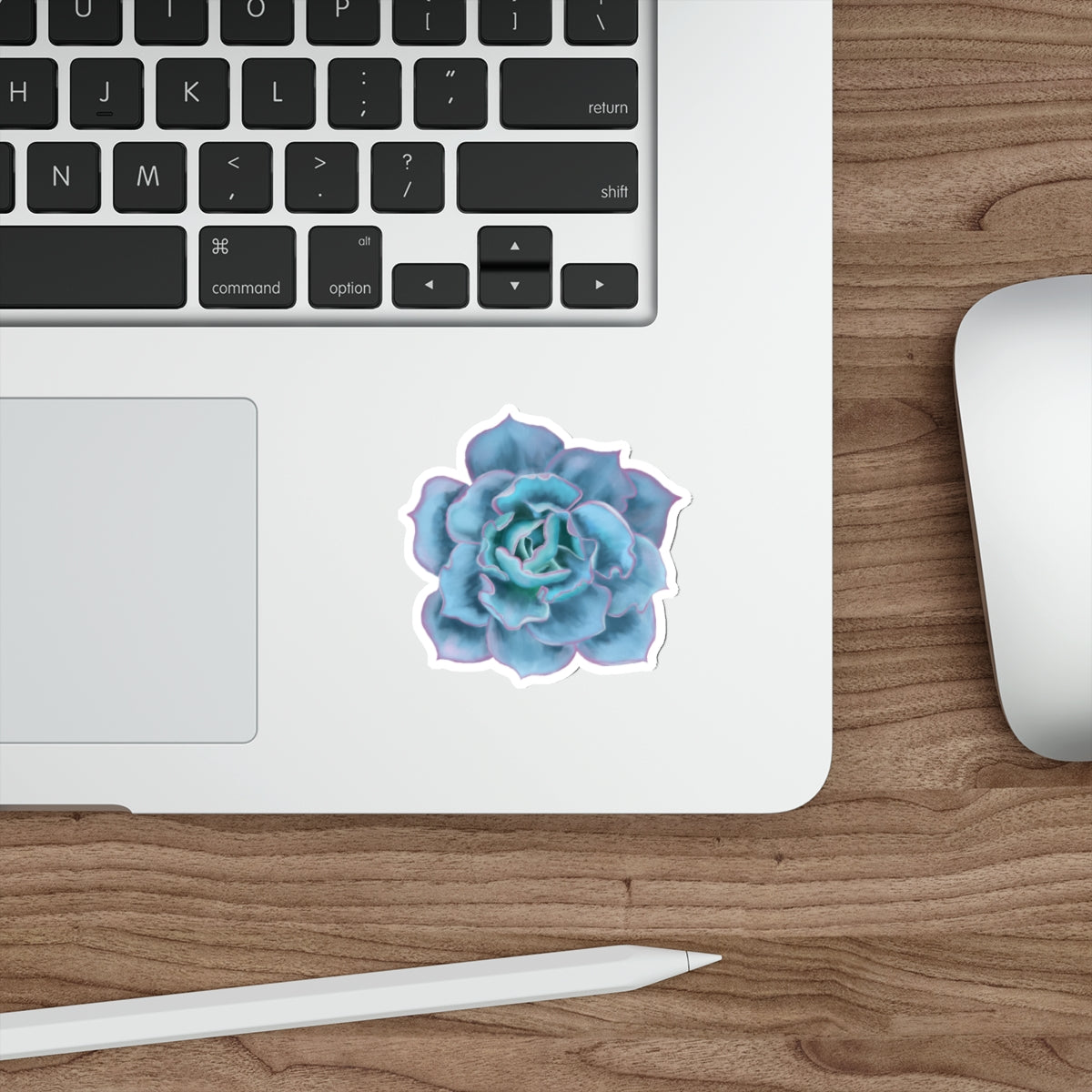 Succulent of the Month, December, Die-Cut Sticker, Echeveria Succulent, Turquoise with Pink Edges