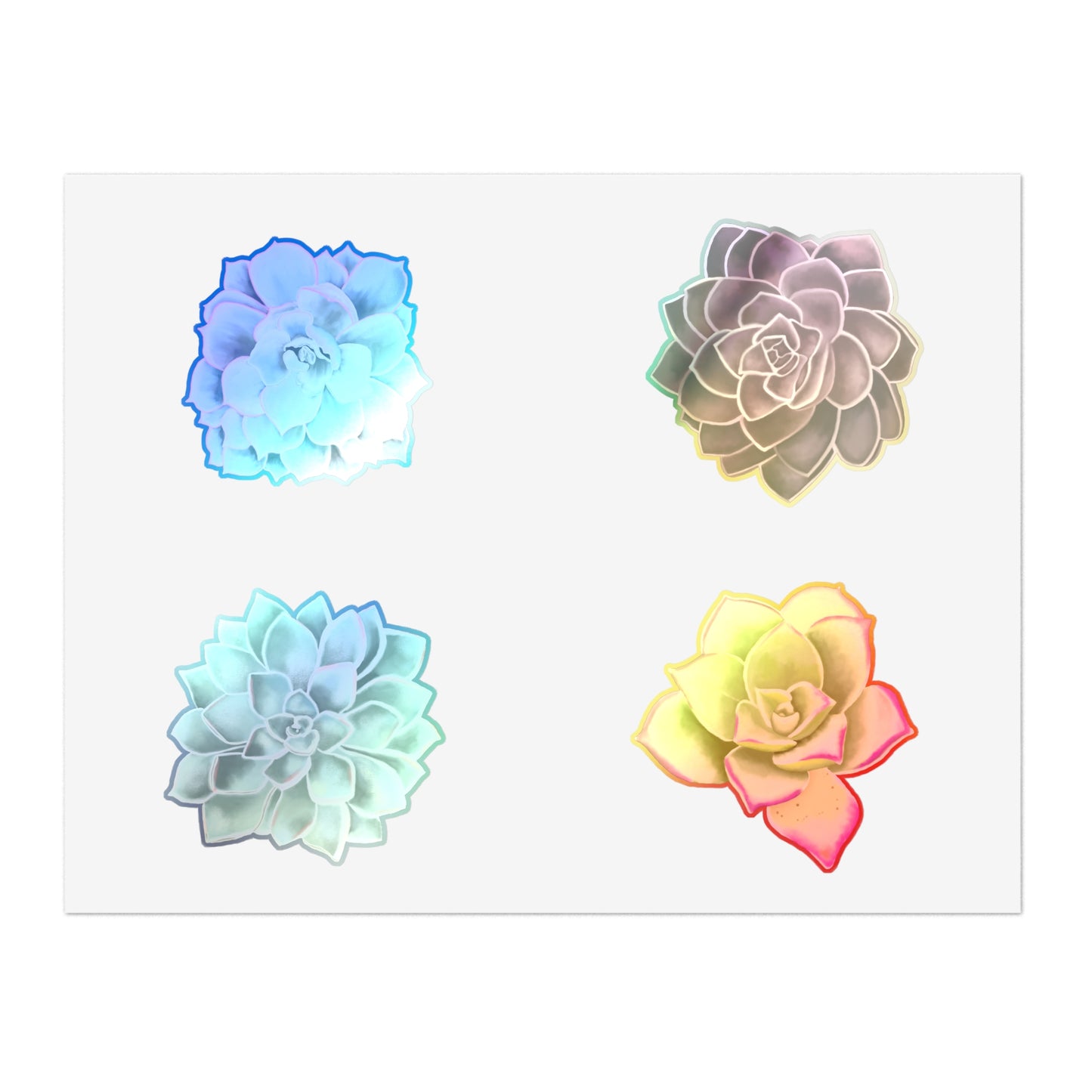 Echeveria Succulents of the Month, Jan-Apr, Sticker Sheets