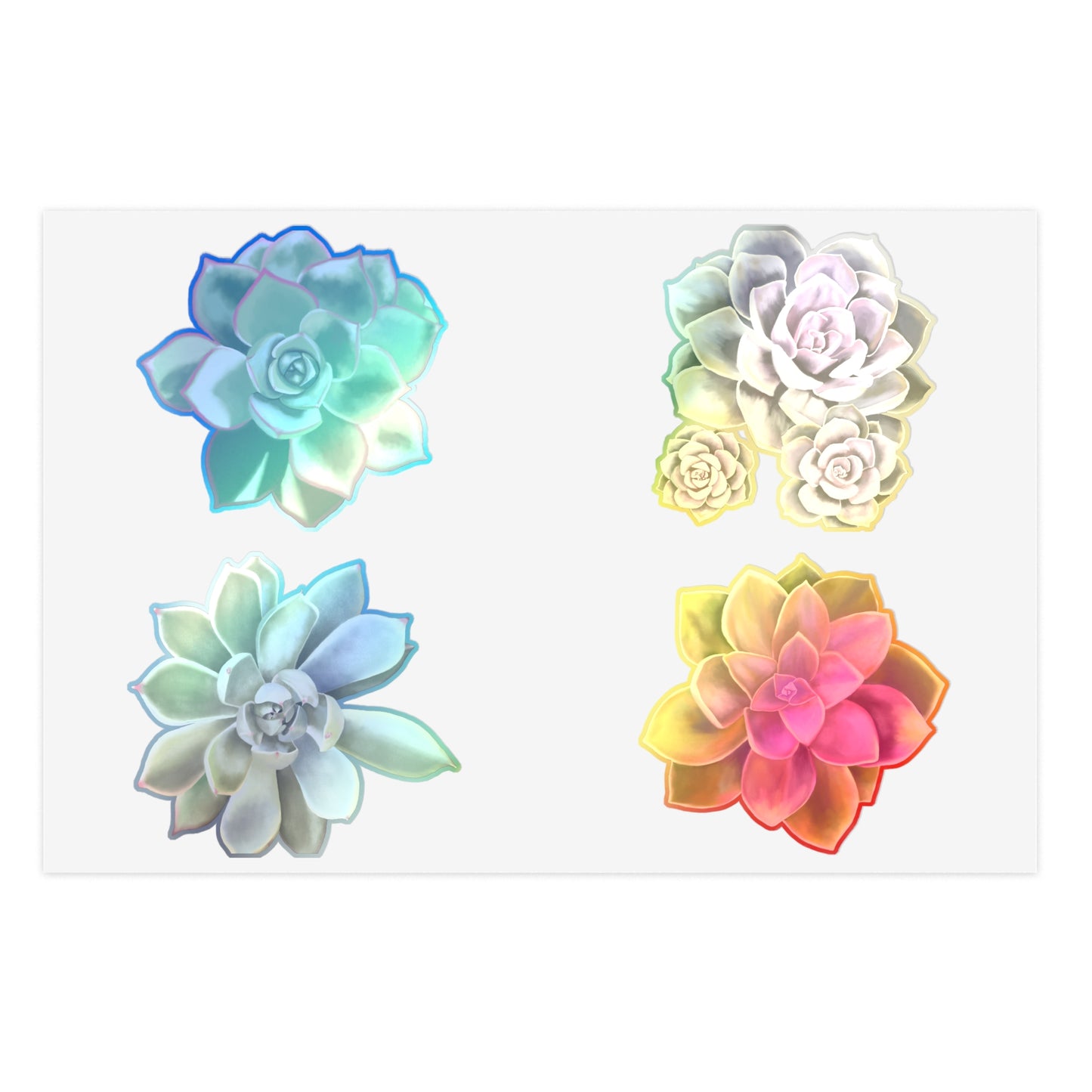 Copy of Echeveria Succulents of the Month, May-Aug, Sticker Sheets