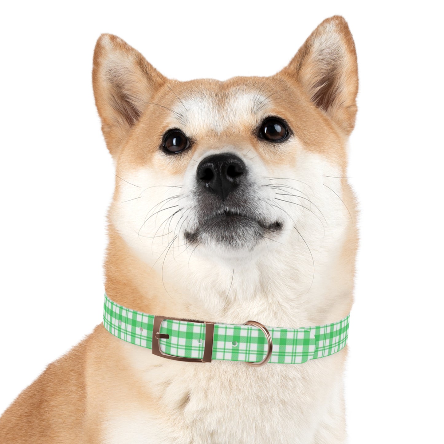 Green and White Plaid Dog Collar