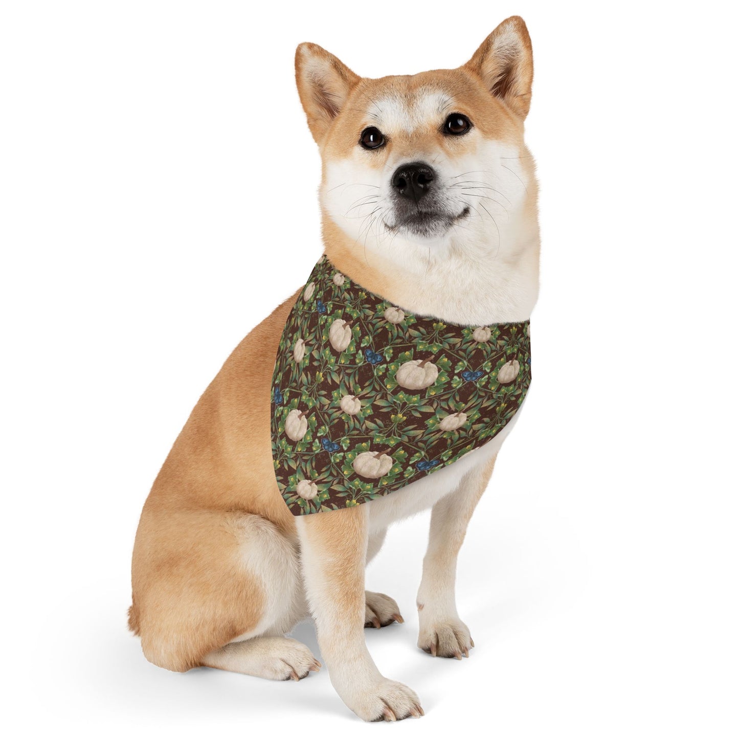 White Pumpkins Pet Bandana Collar