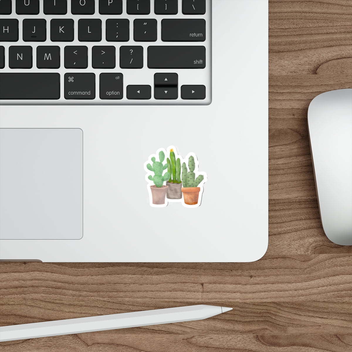 Potted Cactus Trio Die-Cut Stickers