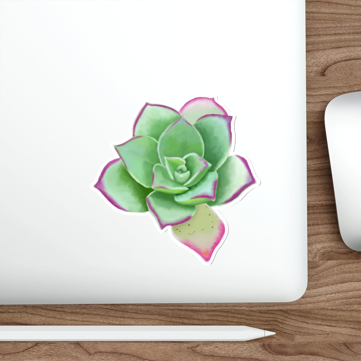 Succulent of the Month, April, Die-Cut Sticker, Echeveria Succulent, Gray and Green