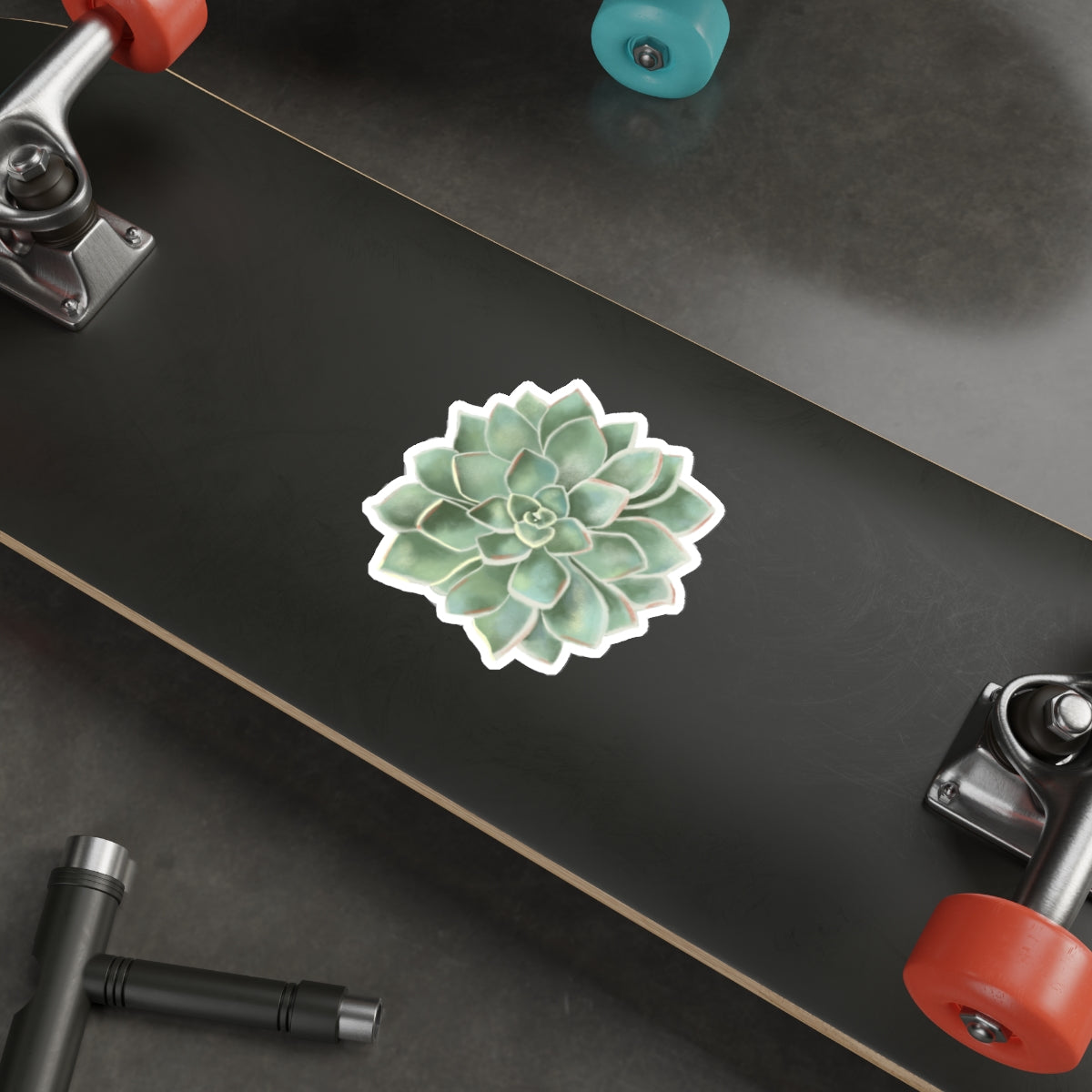 Succulent of the Month, March, Die-Cut Sticker, Echeveria Succulent, Sage Green