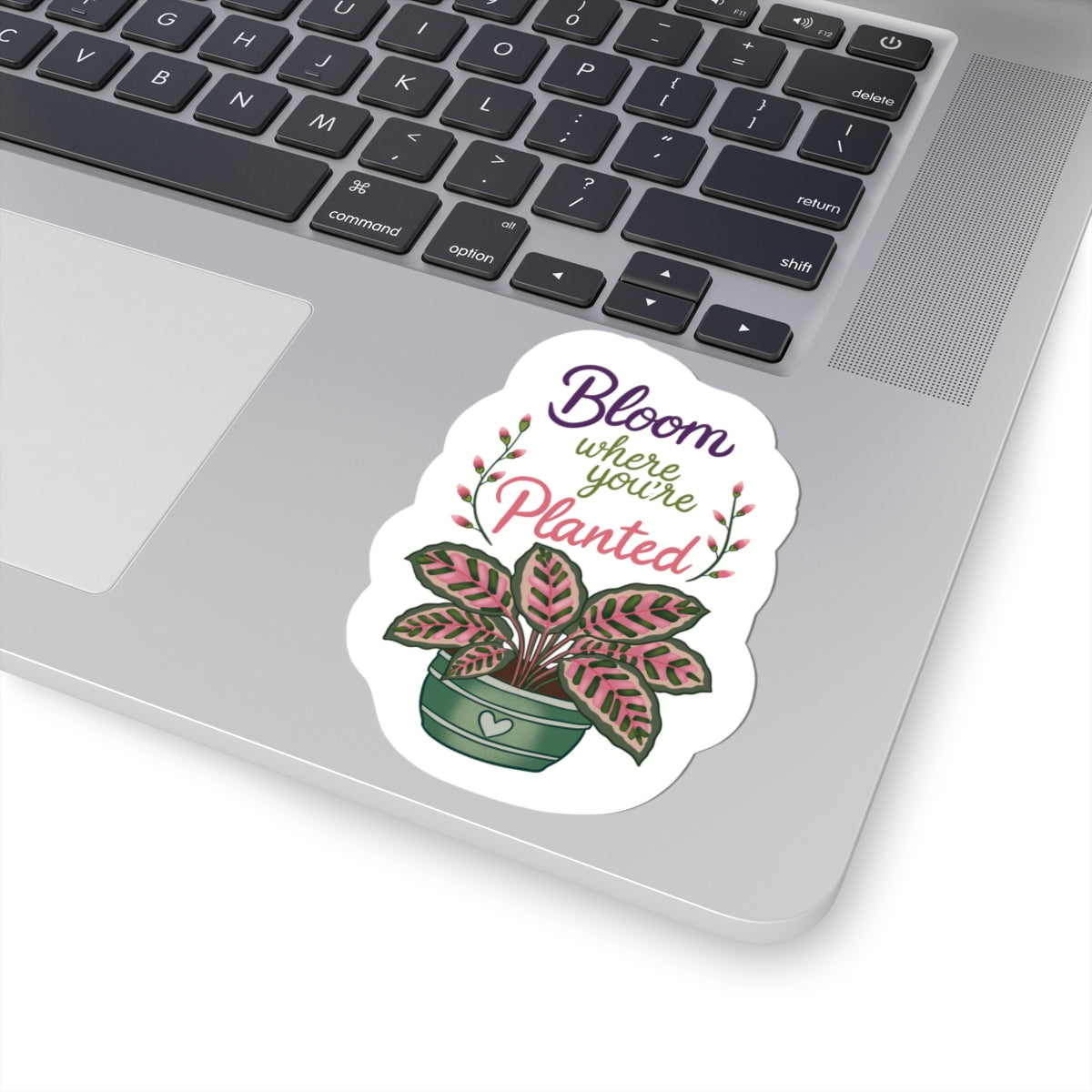 Bloom Where You're Planted Plant Sticker — Floral Kiss-Cut Decal for Laptops & Water Bottles