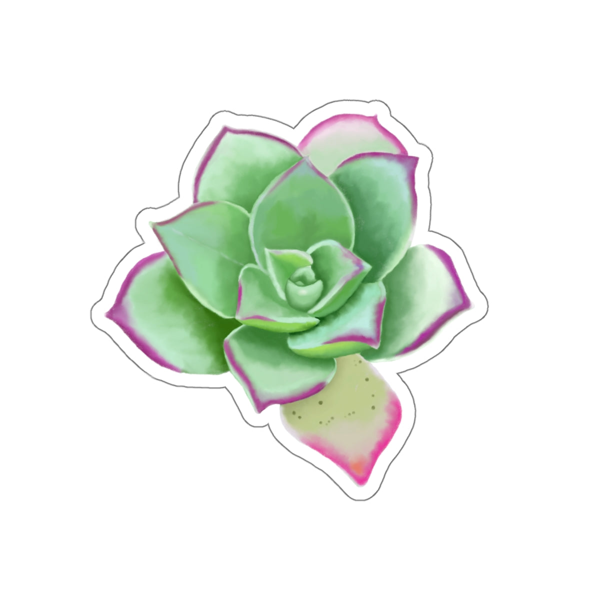 Succulent of the Month, April, Die-Cut Sticker, Echeveria Succulent, Gray and Green