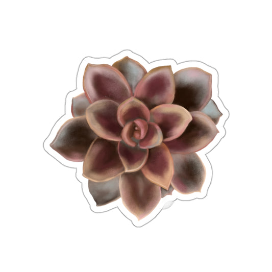 Succulent of the Month, September, Die-Cut Sticker, Echeveria Succulent, Brown and Gray