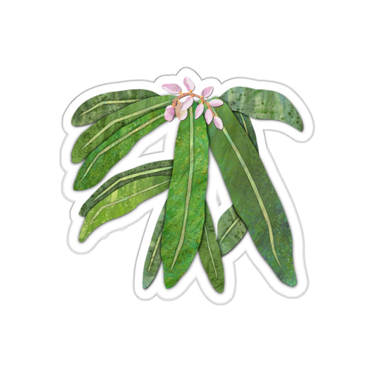 Alpinia or Shell Ginger, Tropical Flower Die-Cut Stickers