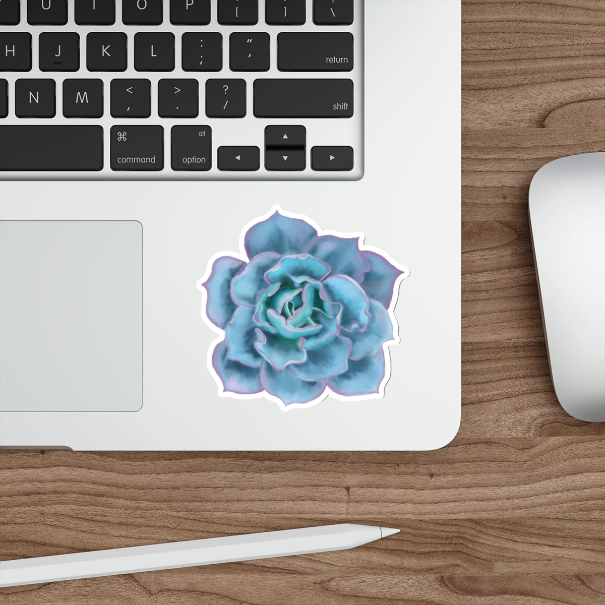 Succulent of the Month, December, Die-Cut Sticker, Echeveria Succulent, Turquoise with Pink Edges