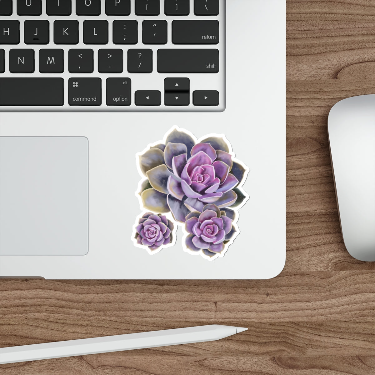 Succulent of the Month, June, Die-Cut Sticker, Echeveria Succulent, Pink and Purple