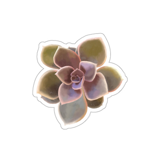 Succulent of the Month, November, Die-Cut Sticker, Echeveria Succulent, Soft Pink, Green, and Gray
