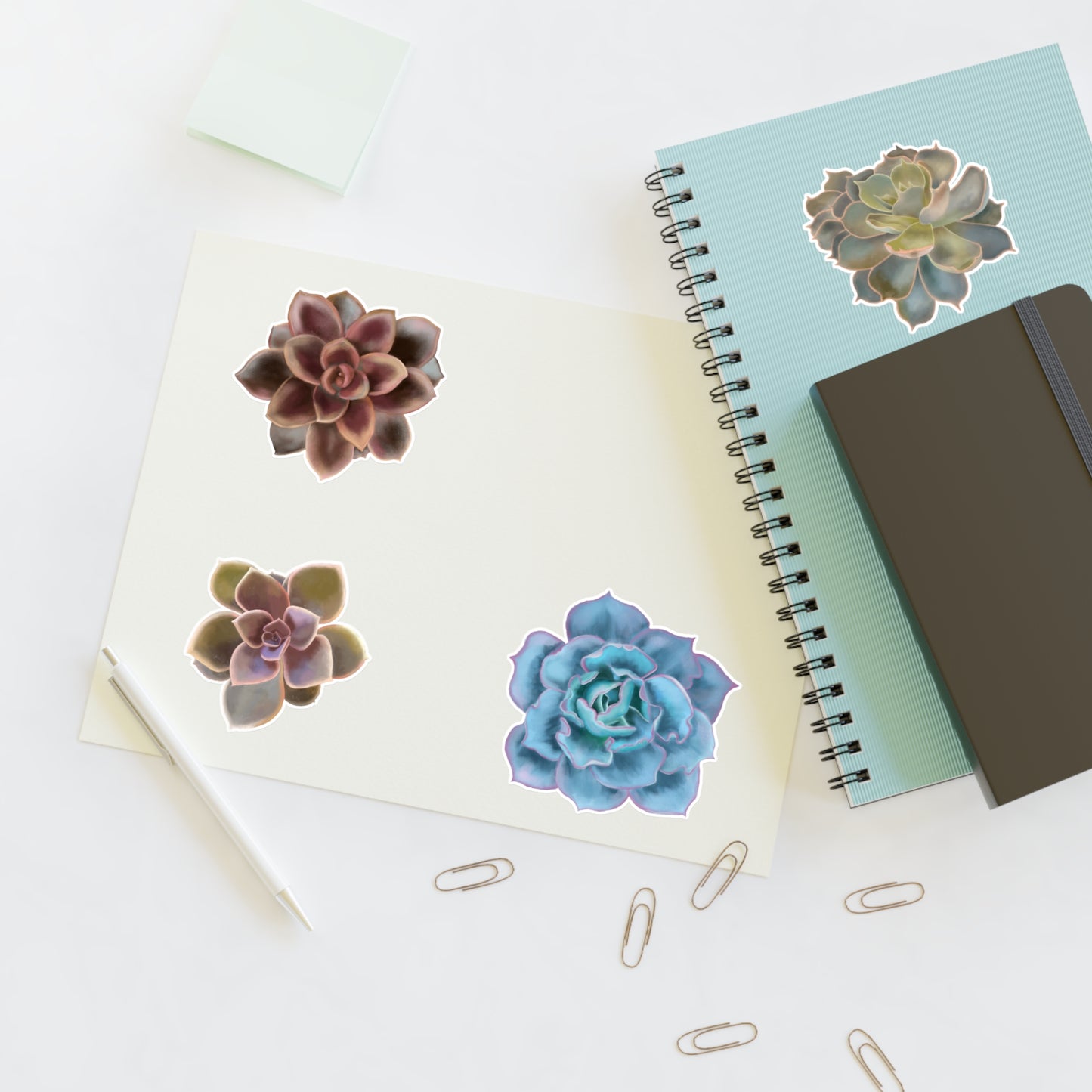 Echeveria Succulents of the Month, Sep-Dec, Sticker Sheets