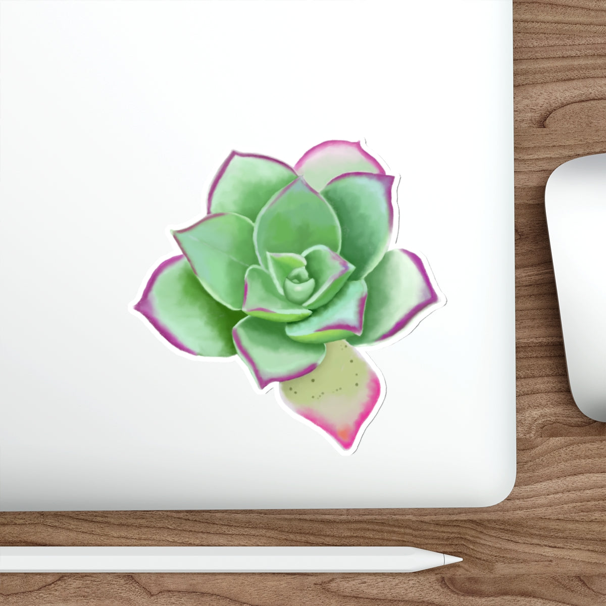 Succulent of the Month, April, Die-Cut Sticker, Echeveria Succulent, Gray and Green