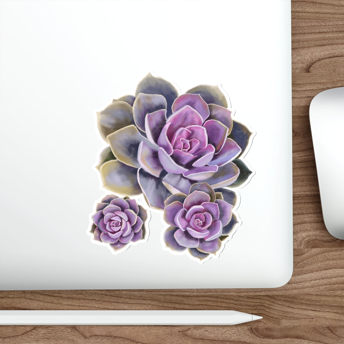 Succulent of the Month, June, Die-Cut Sticker, Echeveria Succulent, Pink and Purple