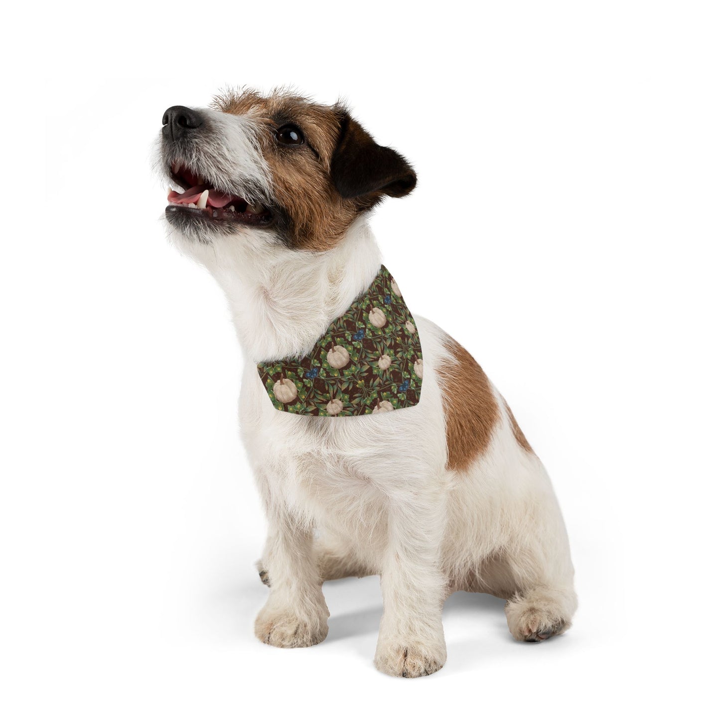 White Pumpkins Pet Bandana Collar