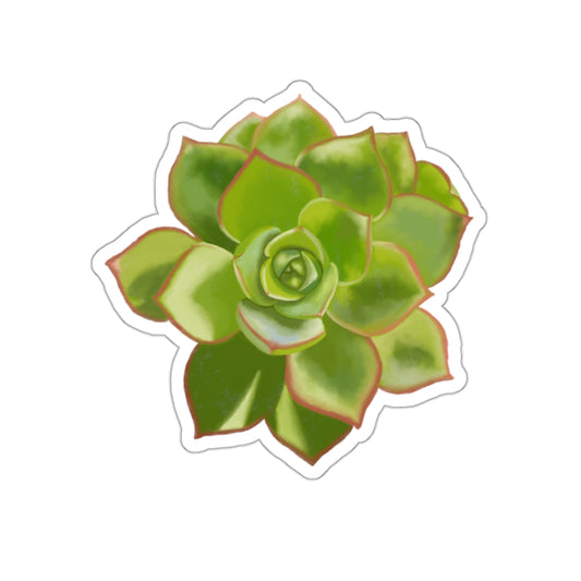 Succulent of the Month, May, Die-Cut Sticker, Echeveria Succulent, Gray and Green