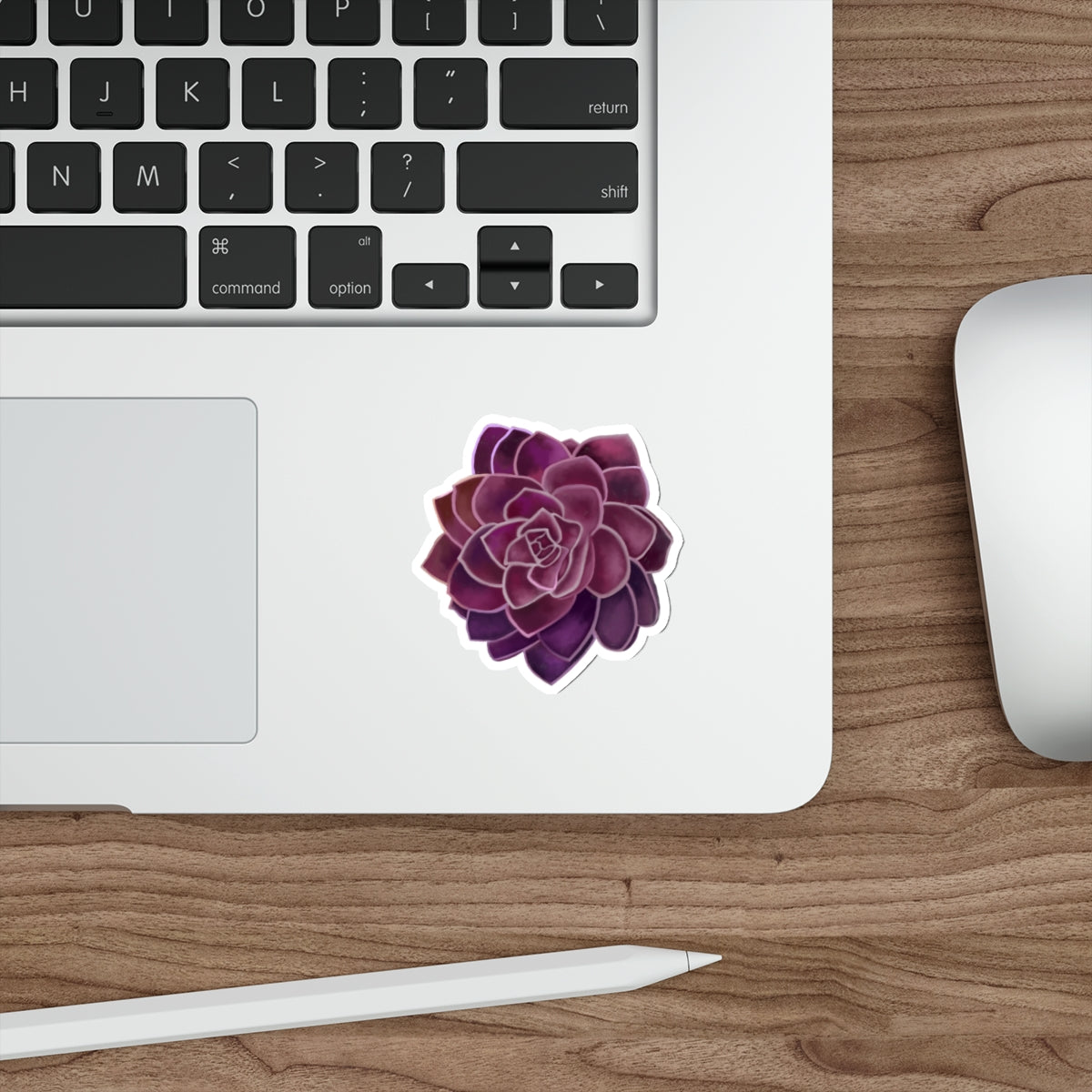 Succulent of the Month, February, Die-Cut Sticker, Echeveria Succulent, Purple