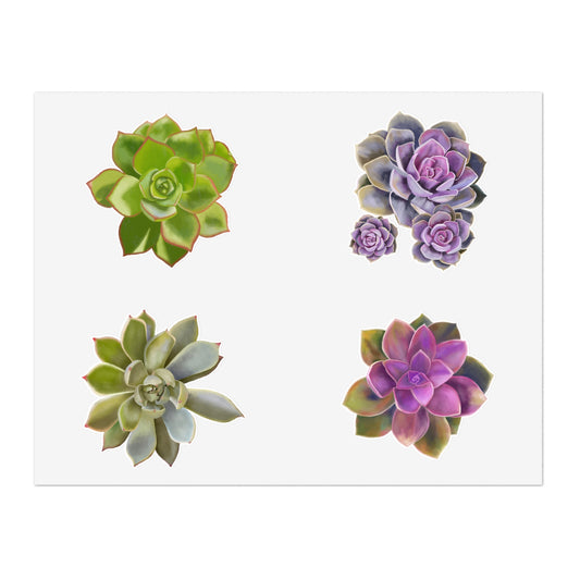 Copy of Echeveria Succulents of the Month, May-Aug, Sticker Sheets