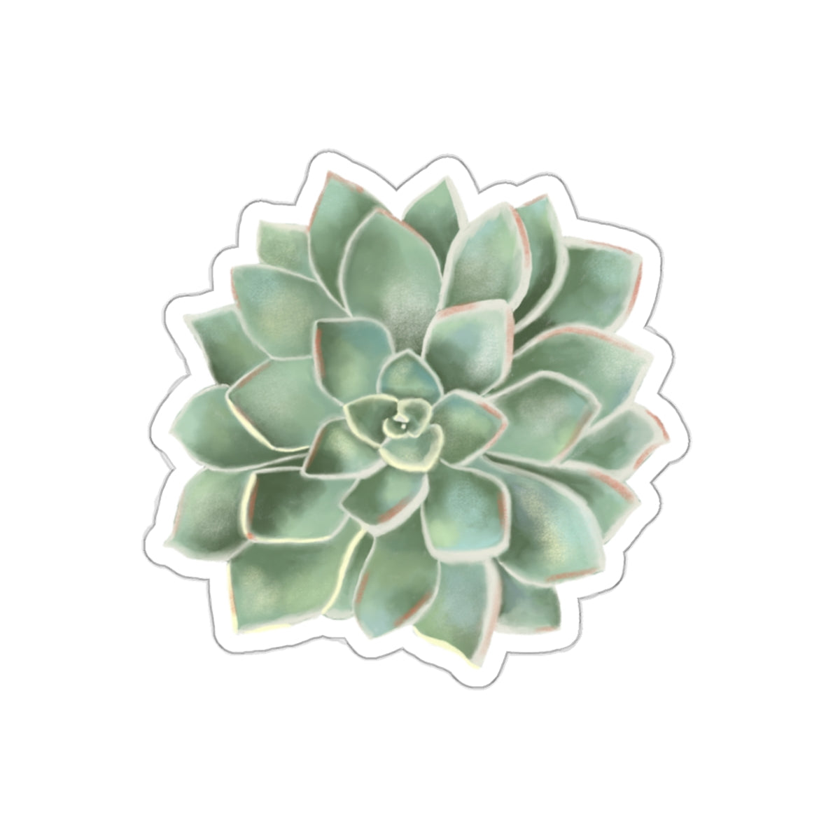 Succulent of the Month, March, Die-Cut Sticker, Echeveria Succulent, Sage Green