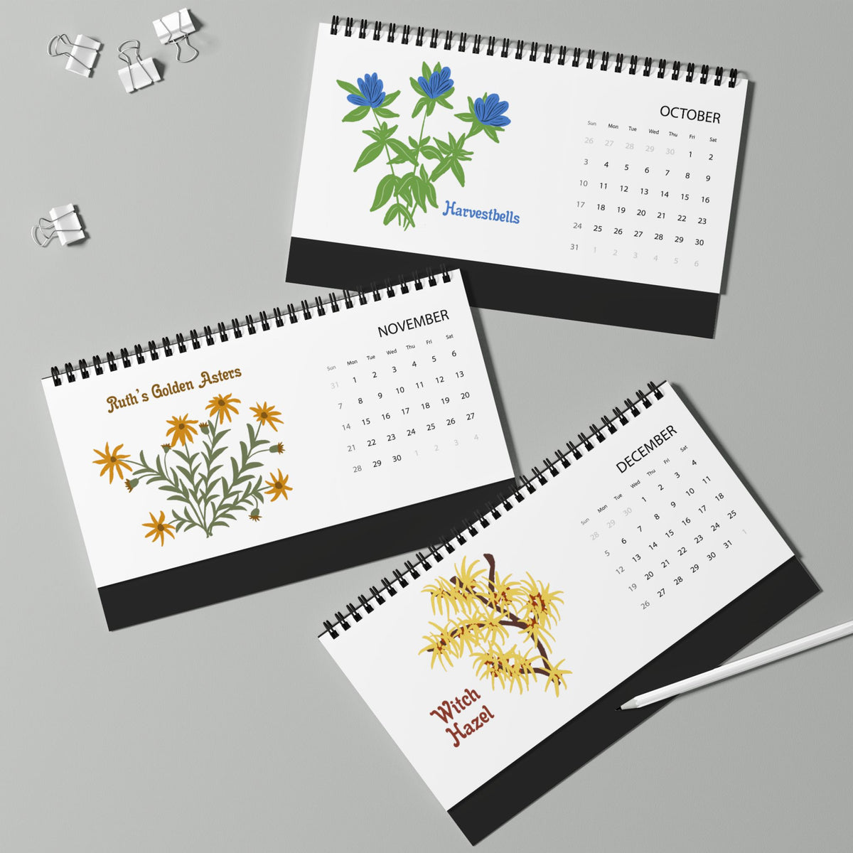 2027 Appalachian Wildflowers Desktop Calendar